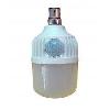 Motion Sensor Bulb (12 Watt)